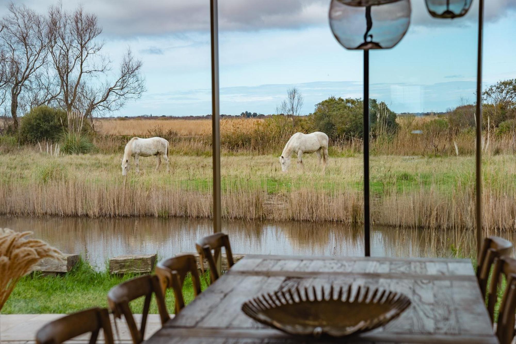 Mas Du Couvin, Maison D'Hotes En Camargue 생트마리들라메르 외부 사진